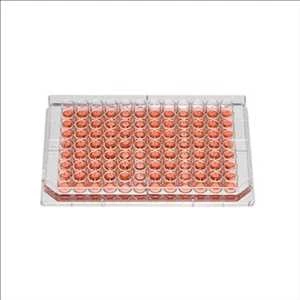 Global 96-Well Microplates Market Insights Report 2021-2027