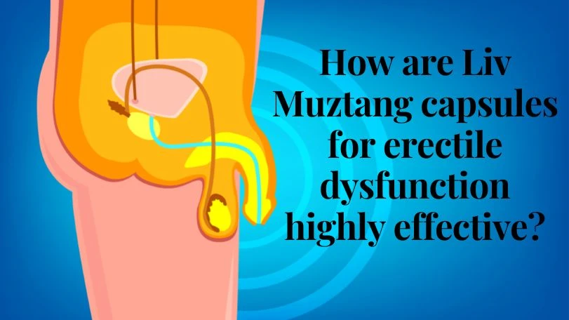 How are Liv Muztang capsules for erectile dysfunction highly effective?