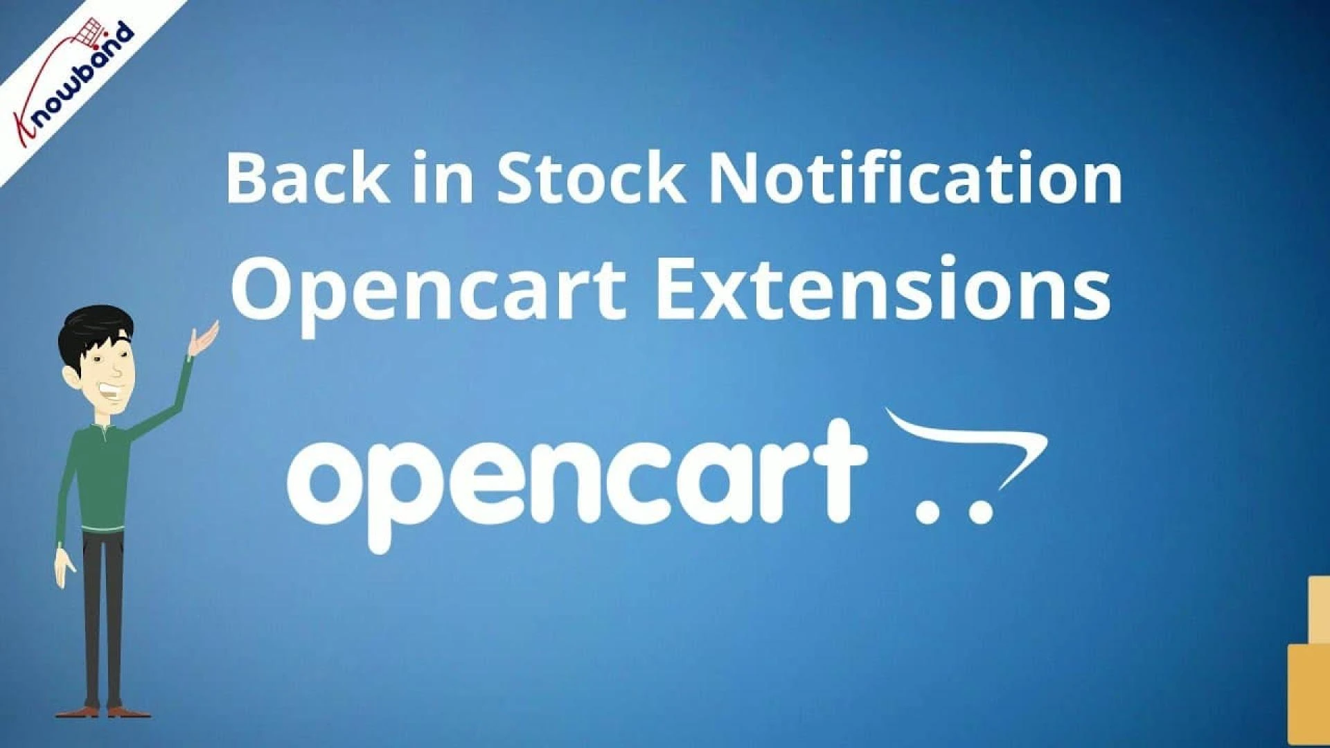 What is the Opencart Back in Stock Notification Extension all about?