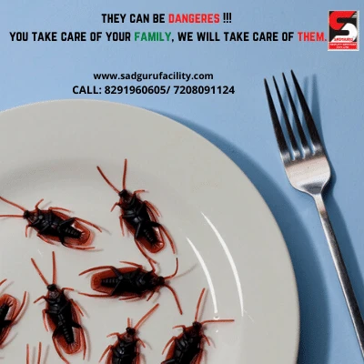 Cockroach Pest Control Services in Mumbai - Sadguru Pest Control