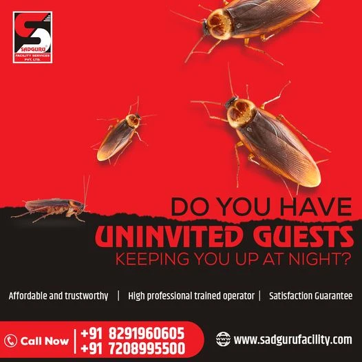 Pest Control Services in Mumbai – Sadguru Pest Control