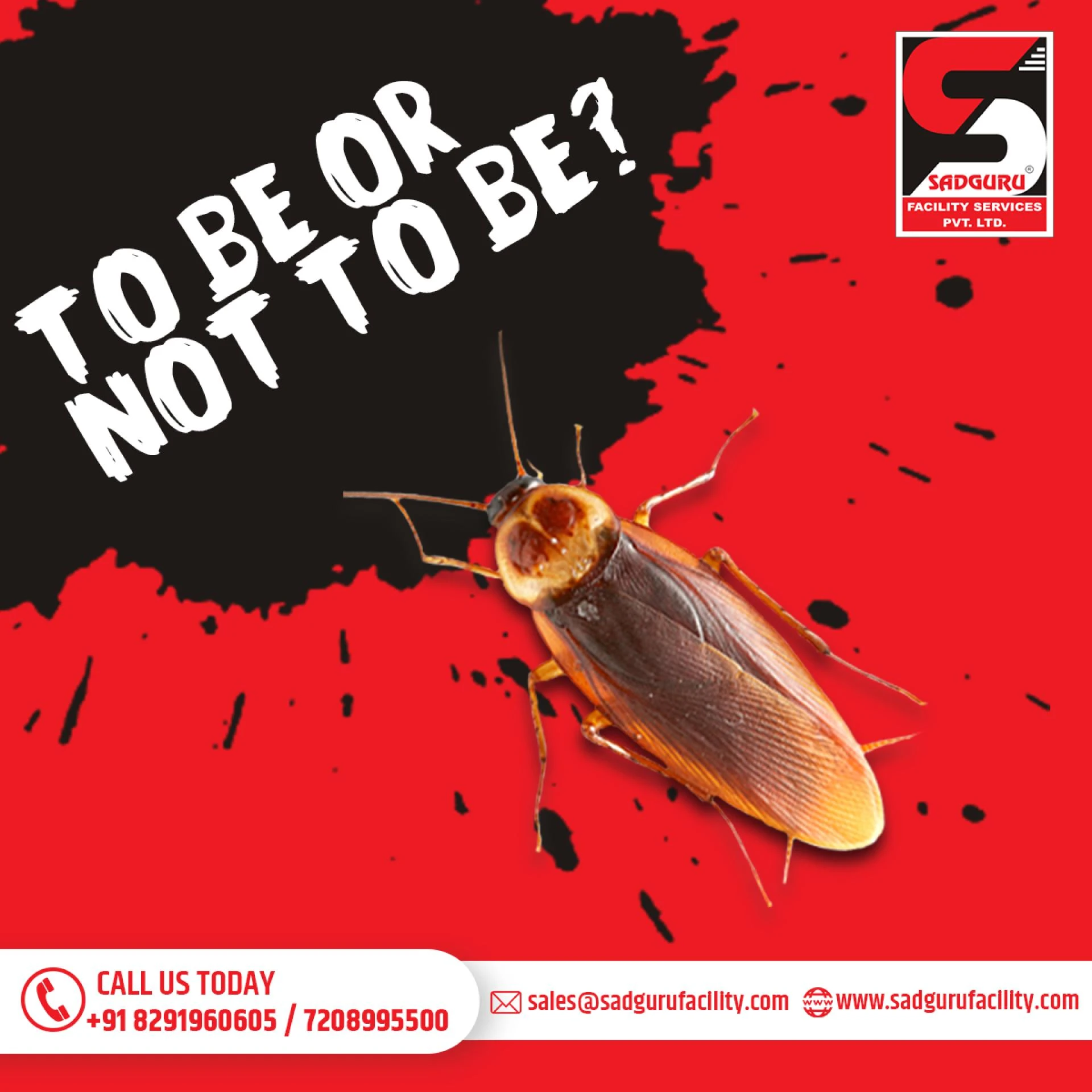 Pest Control Services in Mumbai – Sadguru Pest Control