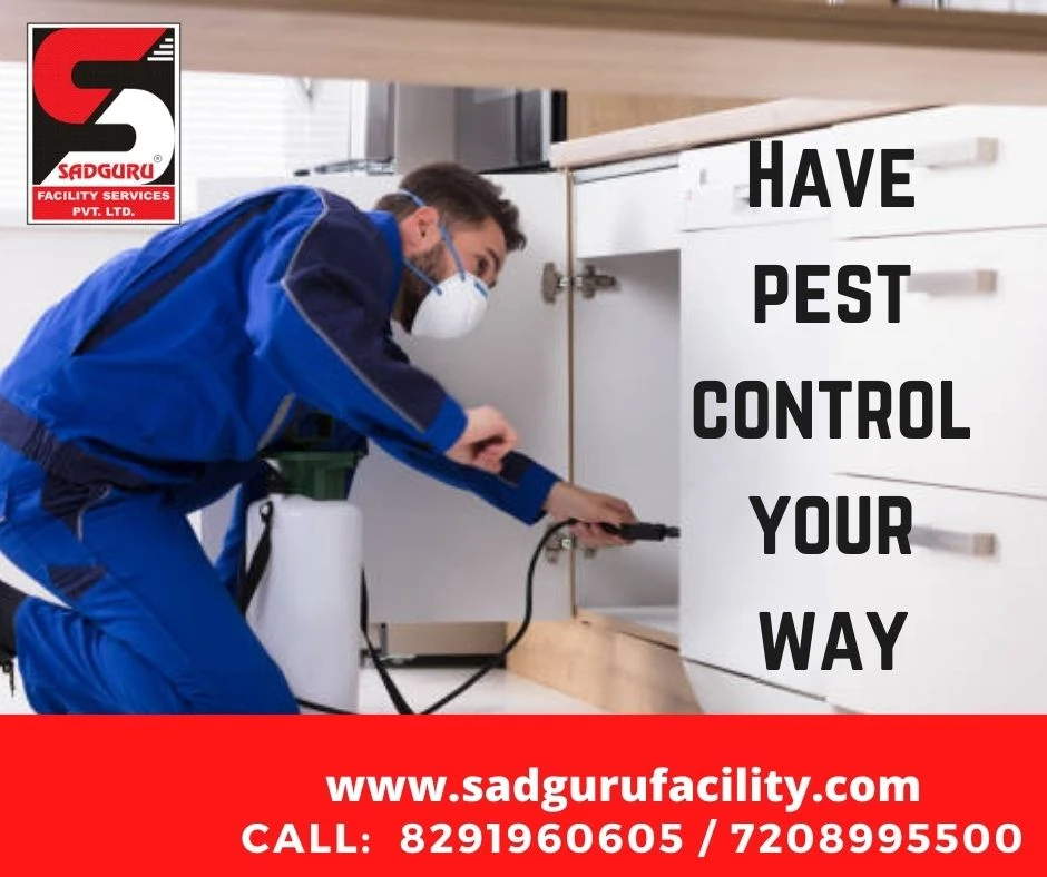 Pest Control Services in Bandra – Sadguru Pest Control
