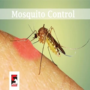 Pest Control Services in Bandra – Sadguru Pest Control