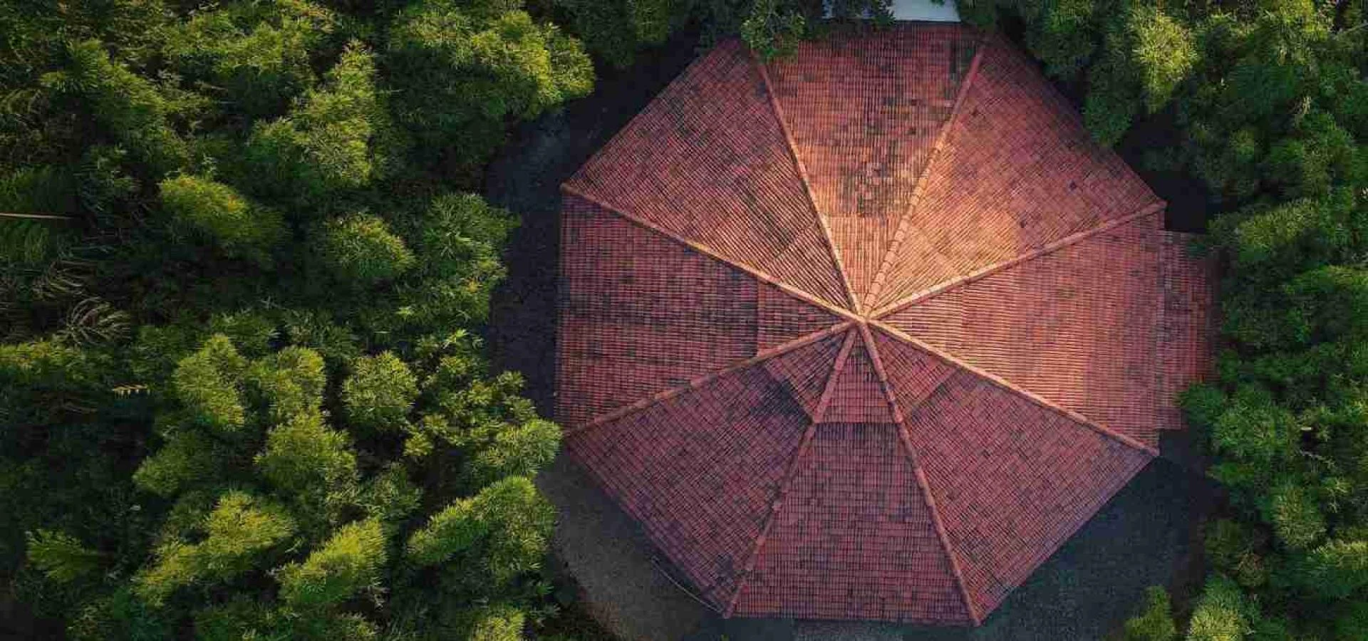 7 Ways Ayurveda Benefits Your Daily Life