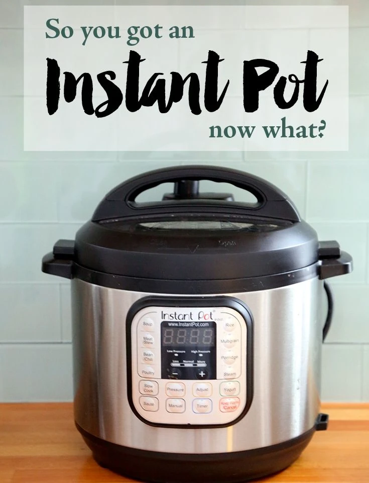 Instant Pot Recipes: Unlocking the Delights of Quick and Delicious Meals