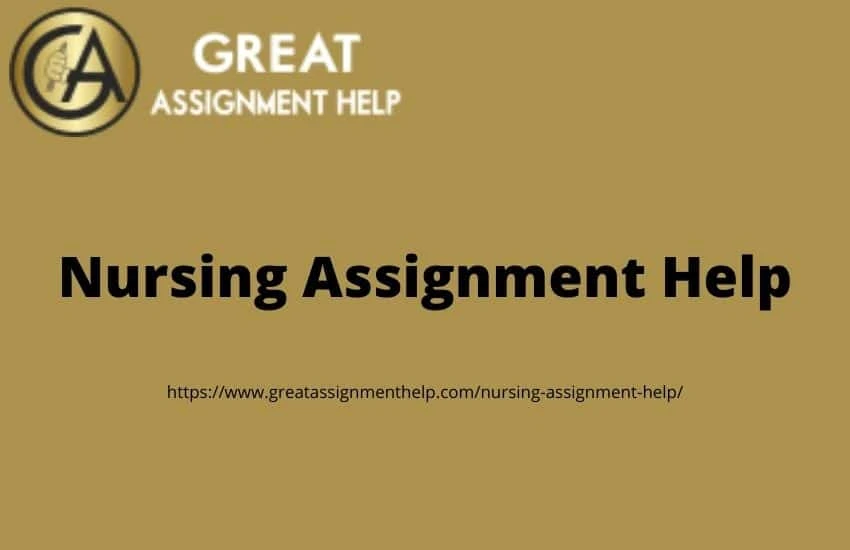 How to find the best nursing assignment help in the town?