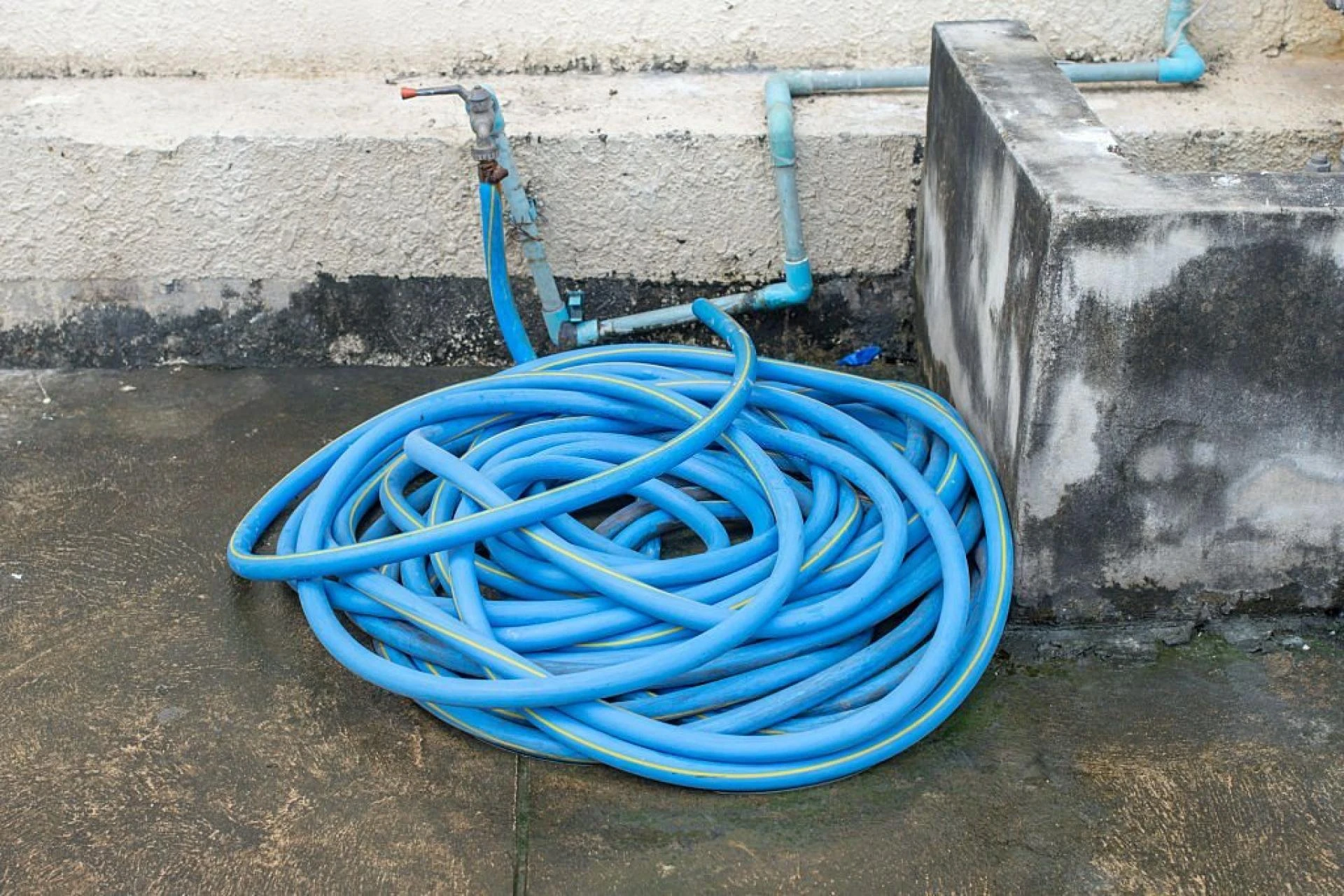 Unveiling the Hidden Risks of Pitch Fibre: Protecting Your Drains in Brighton!
