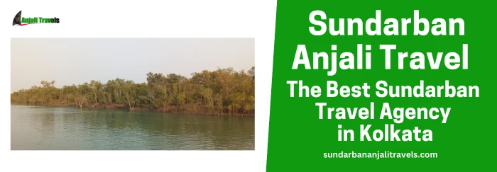 Explore the Majestic Sundarbans with Sundarban Anjali Travels and Embark an Unforgettable Sundarban Tour &amp; Travel Experience