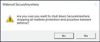 How To Fix If Webroot Loading The Application Error?