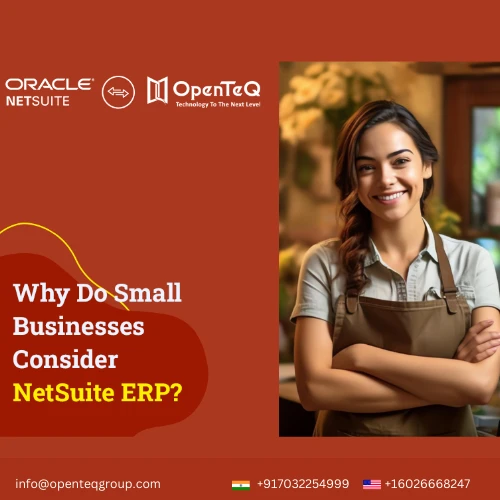 The Complete Guide to NetSuite: the Cloud-Based ERP Solution