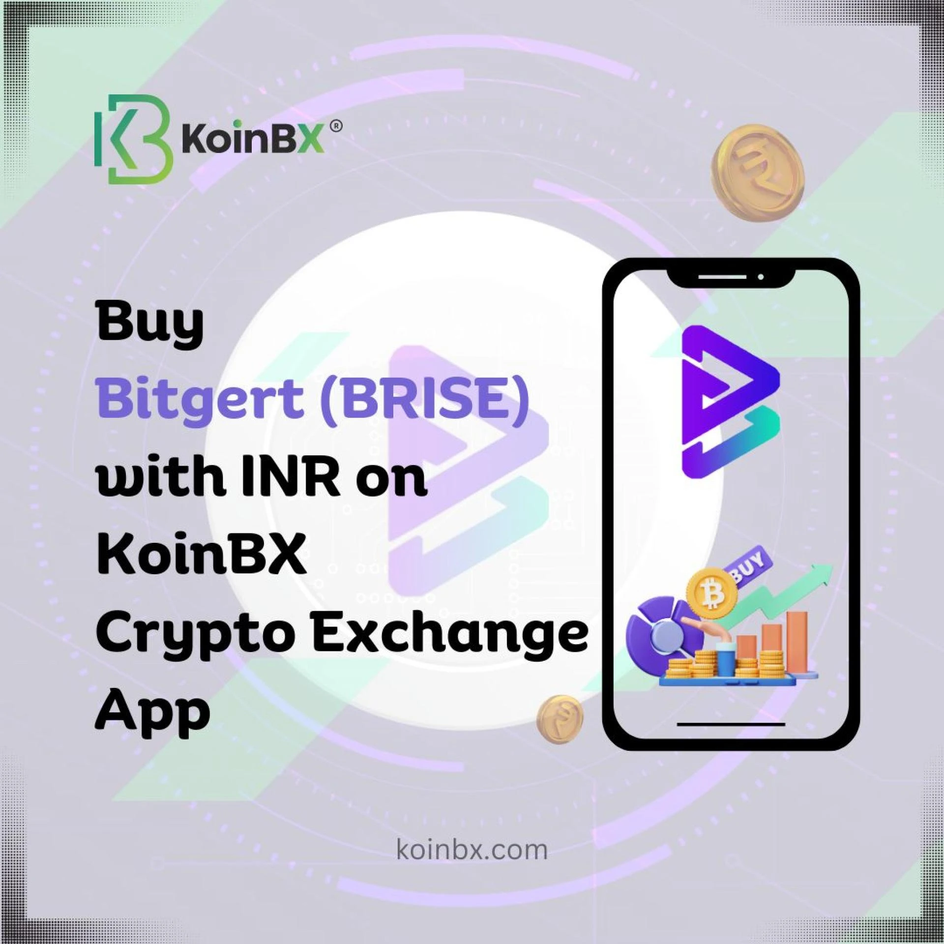 What is Bitgert and how to Buy Bitgert (BRISE) with INR on KoinBX Crypto Exchange App