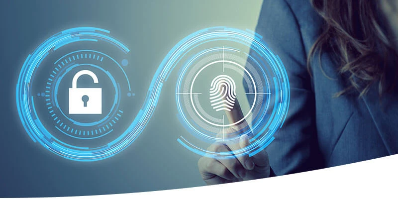 The Essential Guide To Eligibility Verification Services