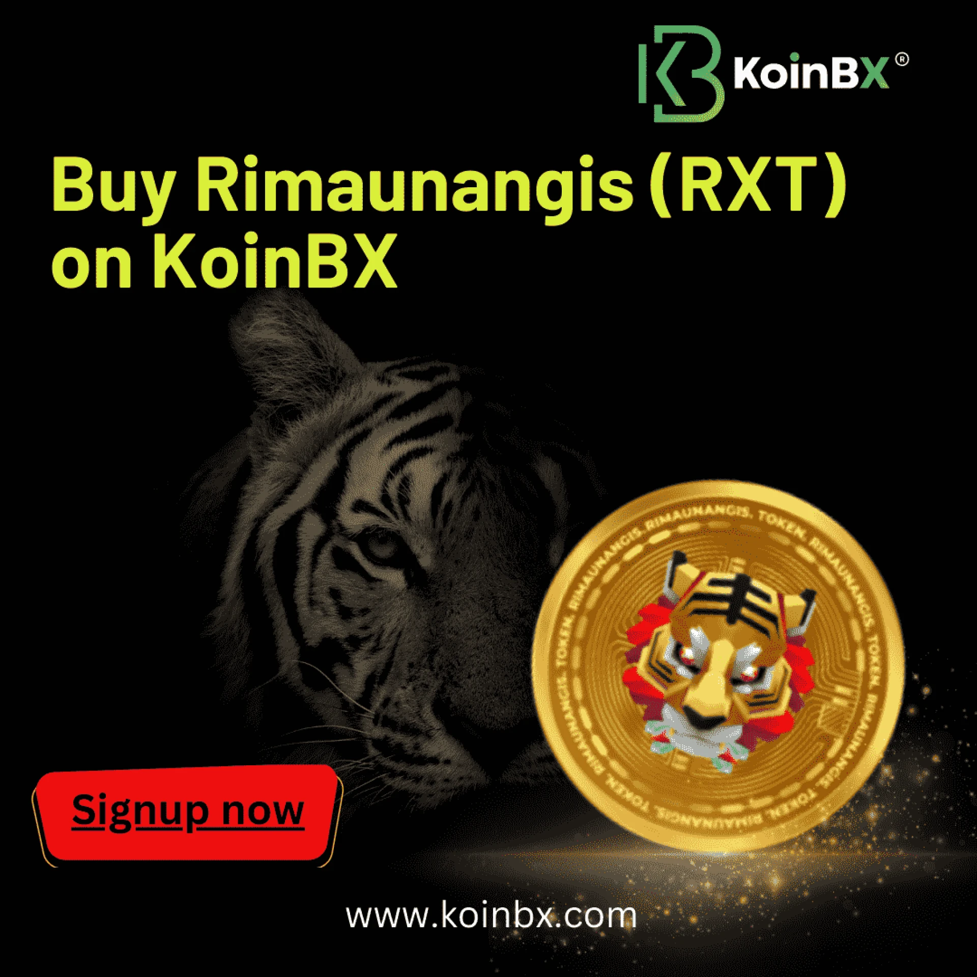 What is Rimaunangis (RXT) and How to Buy on KoinBX Crypto Exchange?
