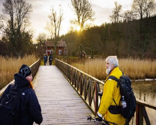 Gå på fotokurser för att utveckla dina fotografiska färdigheter