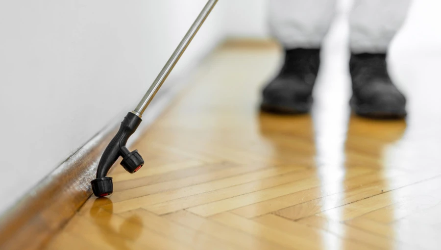 DIY Pest Control: Safe and Easy Methods for Homeowners