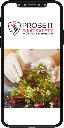 Everything you need to know about TDG training program