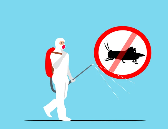 Protecting Your Home from Bugs and Roaches