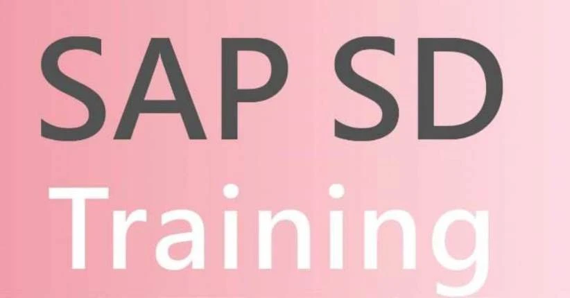 Mastering SAP ERP: Exploring the Basics of Sales and Distribution (SD) Module