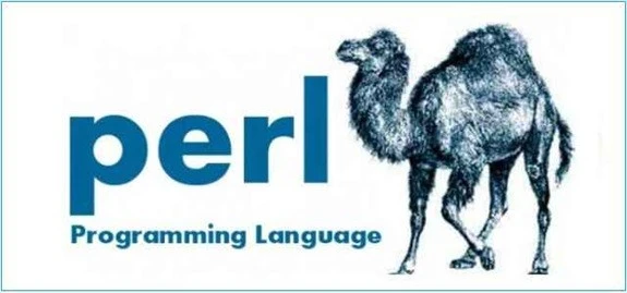 Perfect Perl the Easy Way: A Comprehensive Course for Beginner Programmers