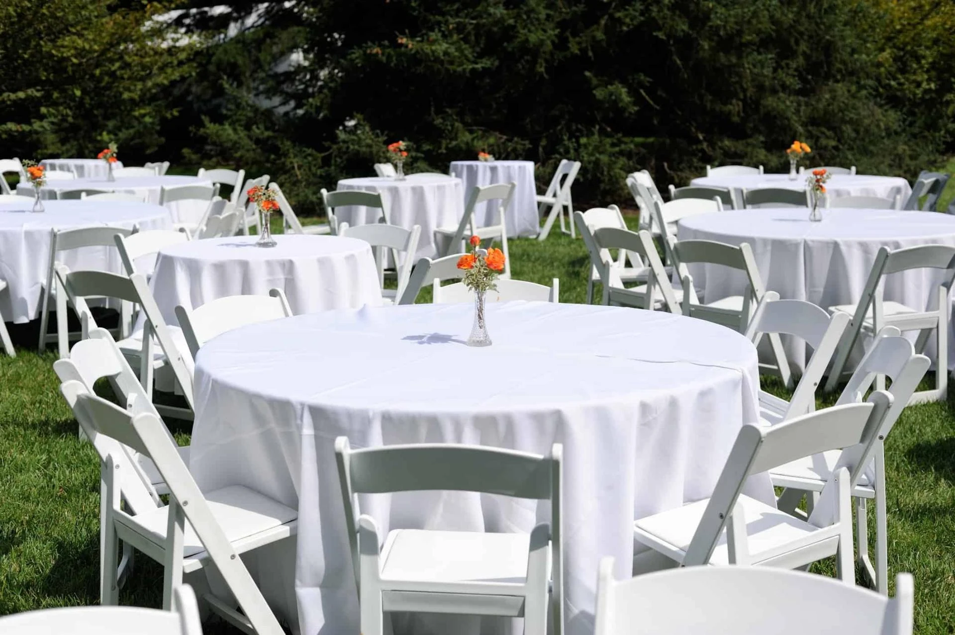 Commonwealth Party Rentals