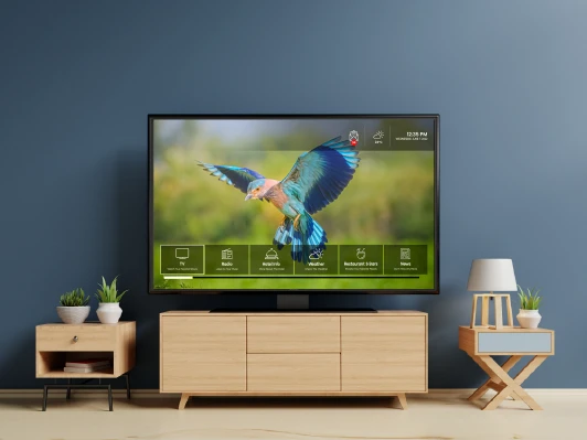 Unlocking Luxury: The Future of In-Room Entertainment with IPTV Hotels in Saudi Arabia