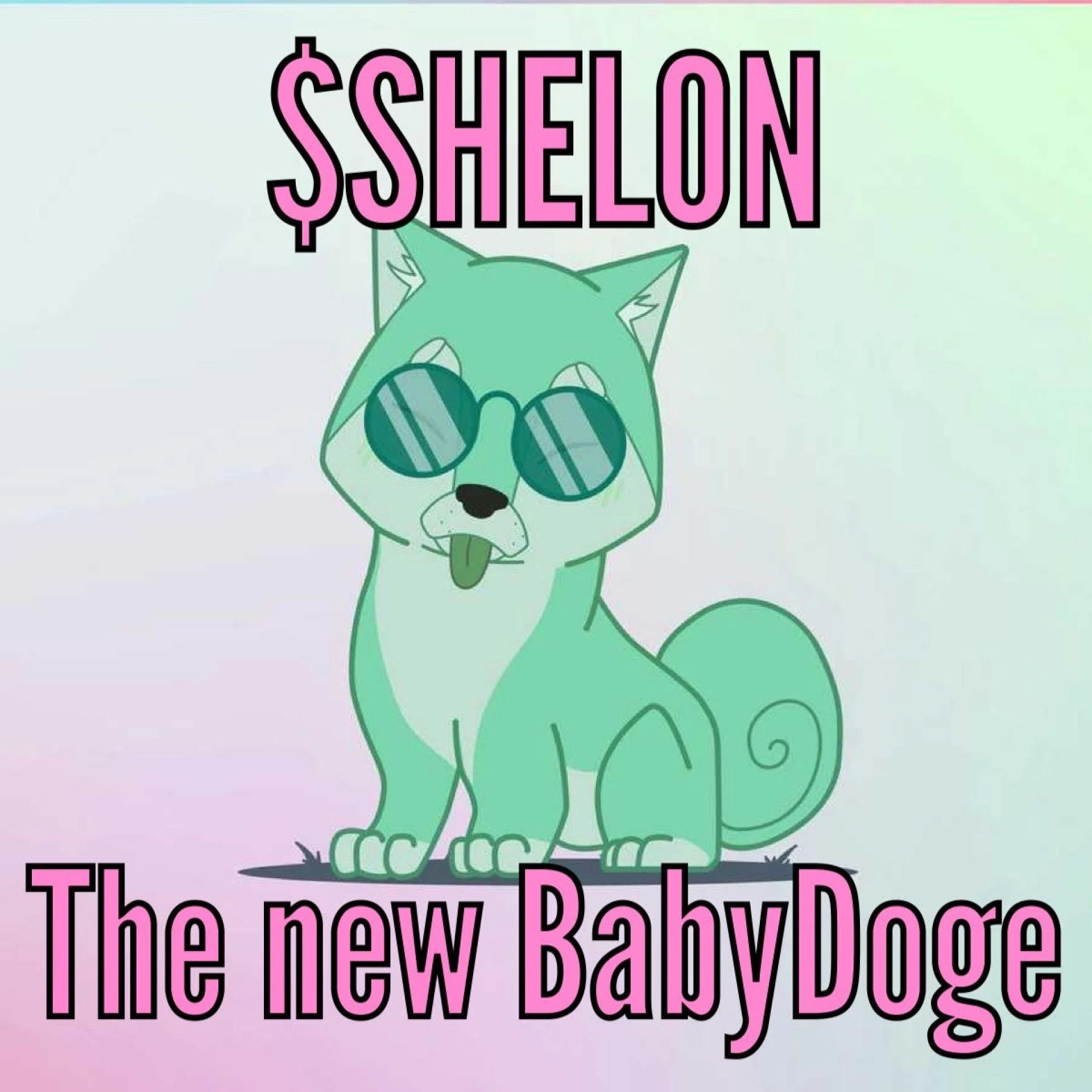 $SHELON The New Top Dog