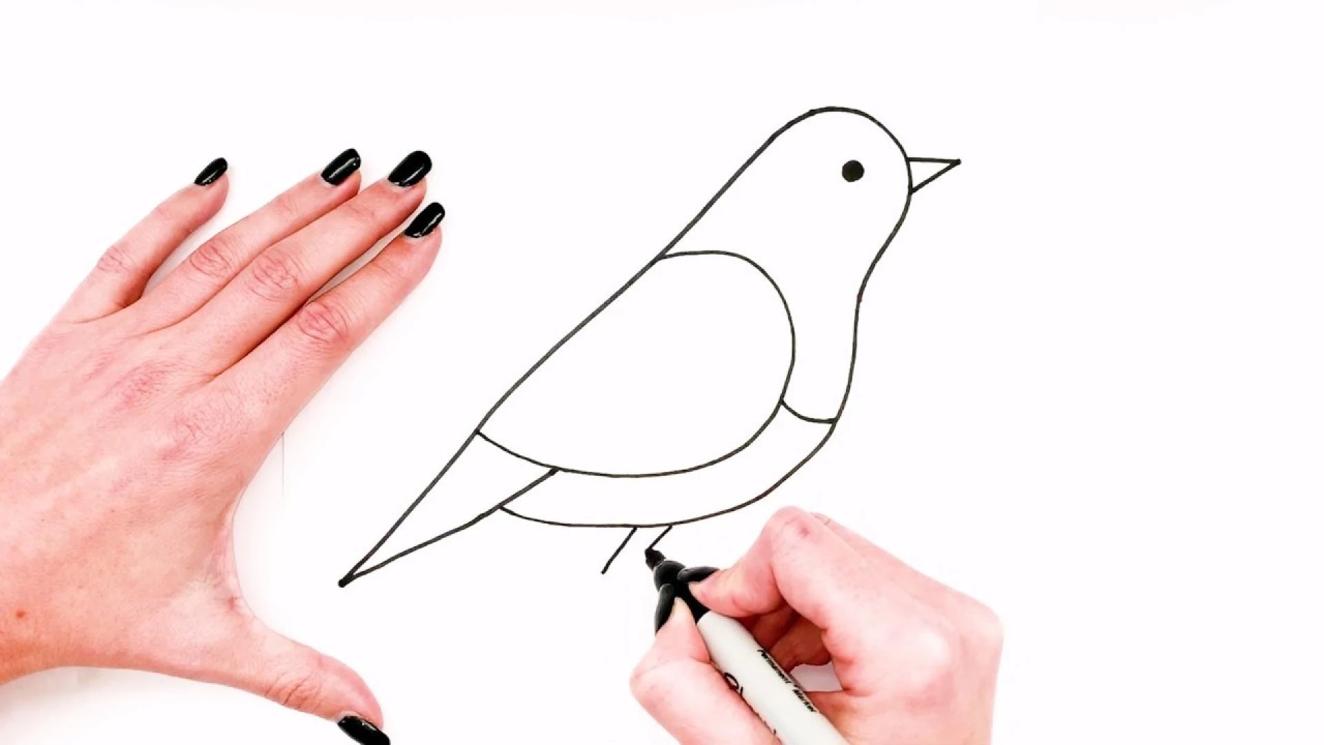 Is it hard to learn how to draw a Bird?