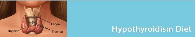 Effective thyroid disease Treatment in New York