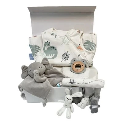 Elevating Baby Showers: The Ultimate Guide to Baby Shower Hampers in West Kingsdown, UK
