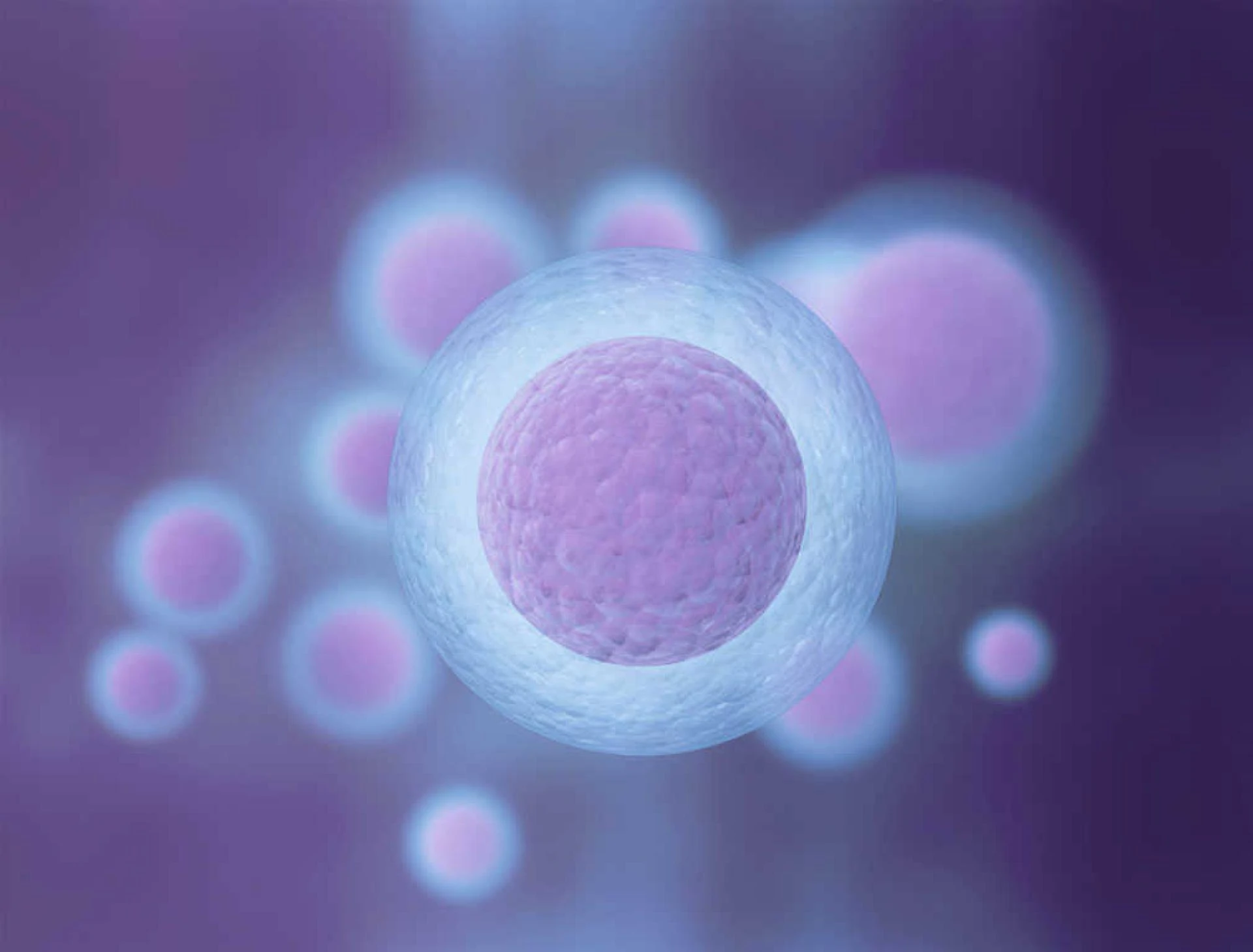 Ovarian Stimulation in IVF