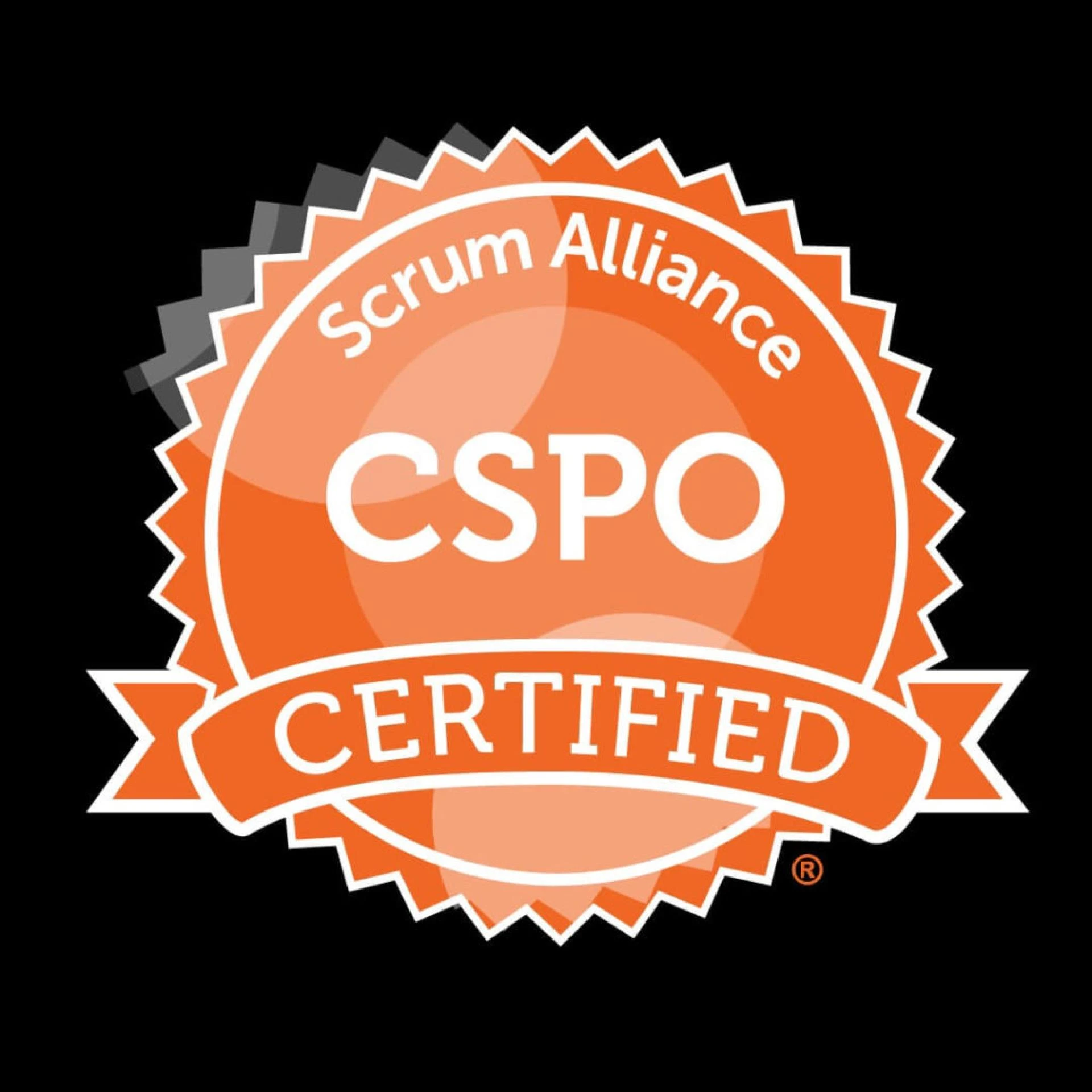 Is Proxy Product Owner a Role? Demystifying the Role of Certified Scrum Product Owner (CSPO)