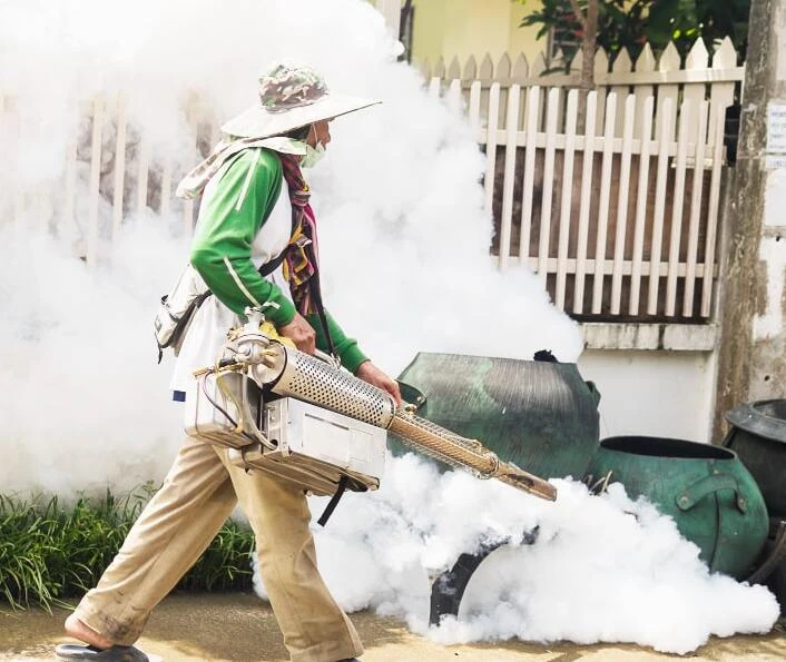 Top 5 Worst Home Pest in Michigan