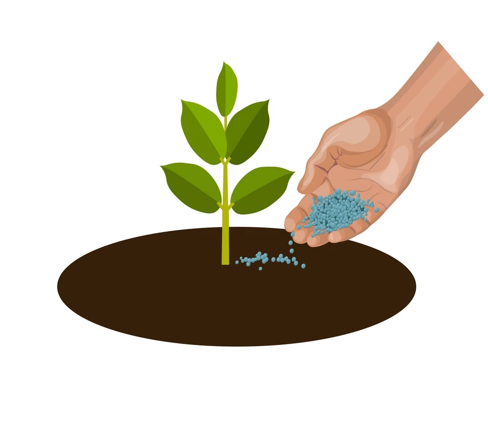 Learning The Importance Of Fertilizers In Agriculture