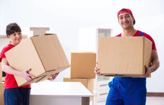 Top 10 Things To Look For When Looking For A Mover