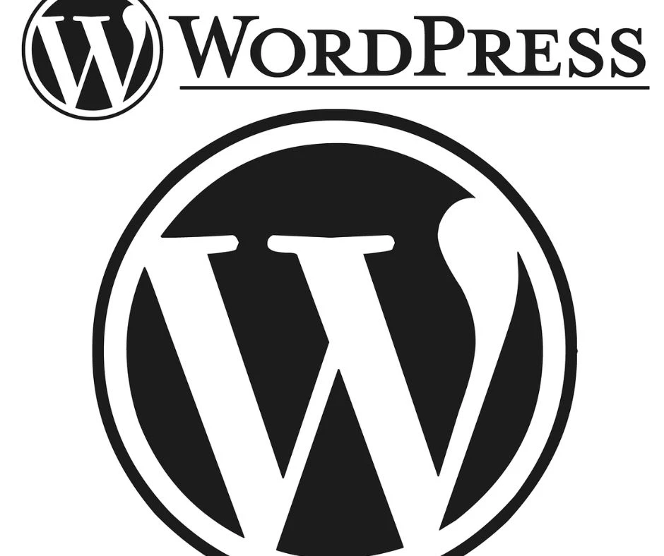 Unlocking the Potential of WordPress: An Overview of Custom Development Services