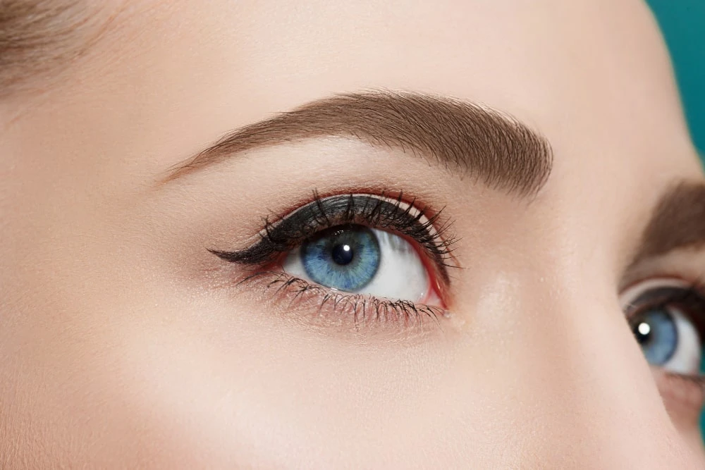 What Should I Know About Eyebrow Transplants?
