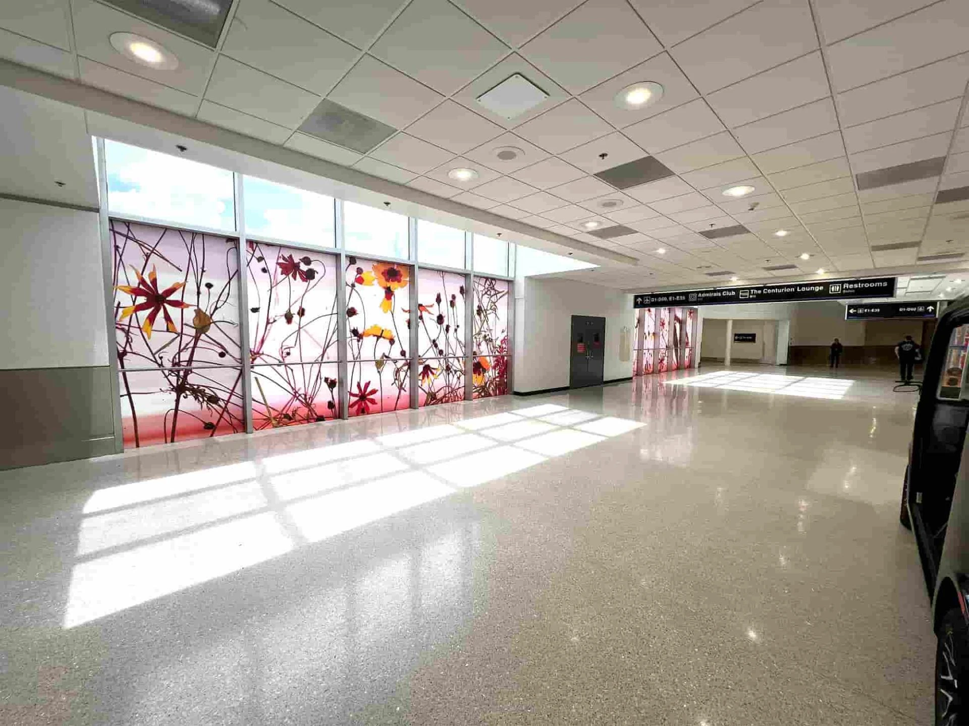 Exquisite Visual Solutions: Large Format Printing in Miami with Binick