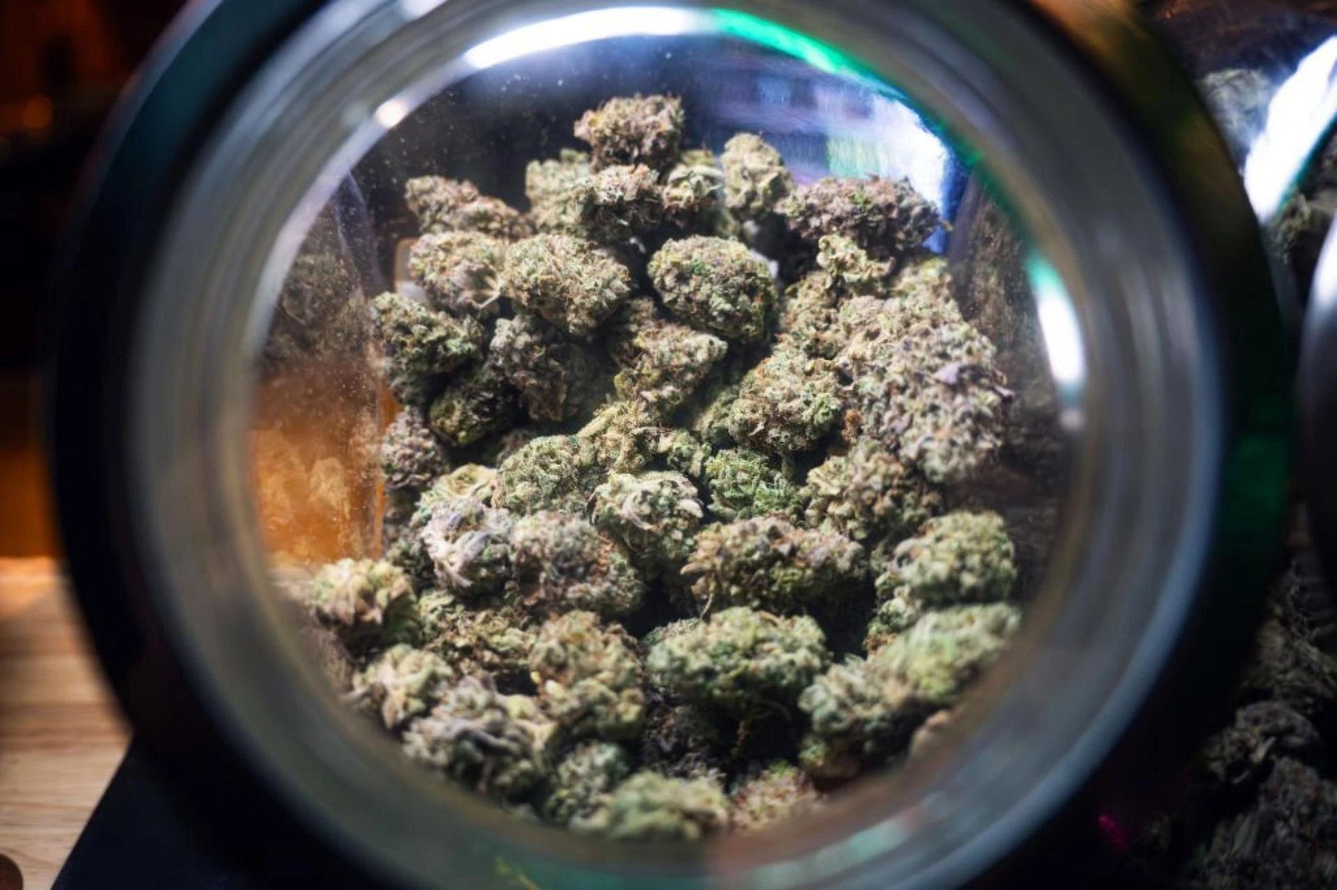 The Best Marijuana Strains To Try In Seattle
