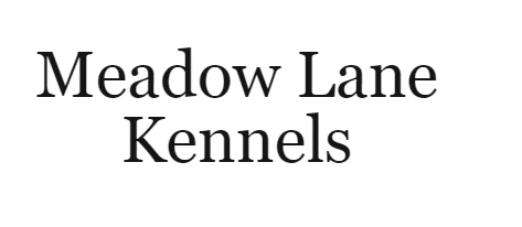 Everything About dog boarding