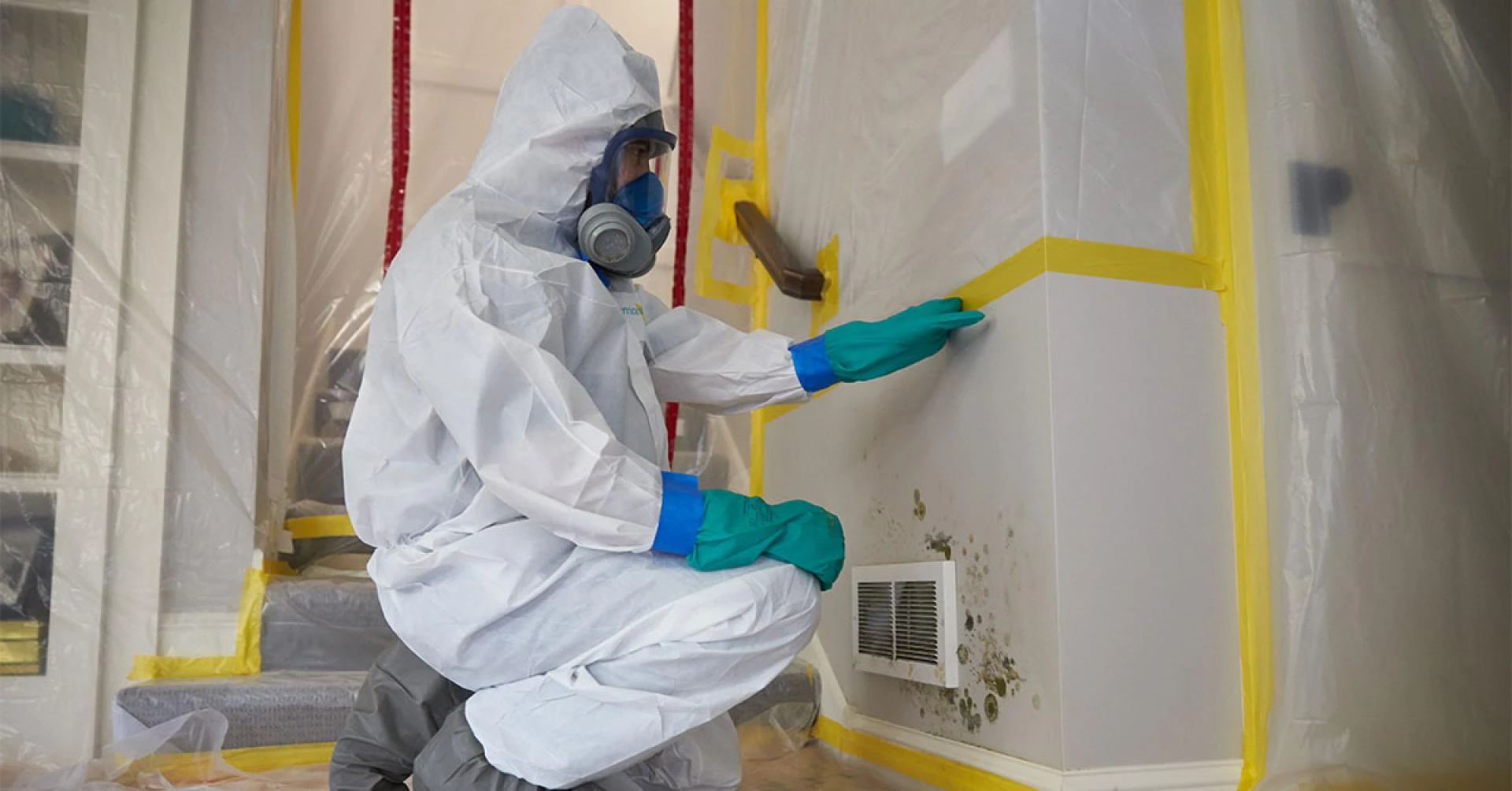 Common Causes Of Mold Infestations In Homes