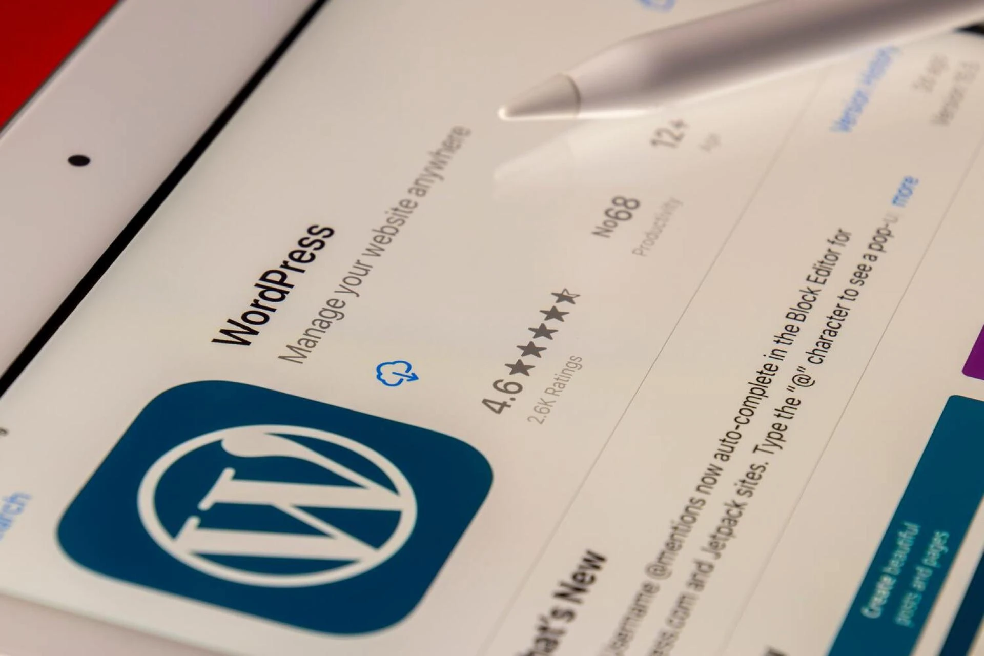 Why do I need WordPress management services to update my site?