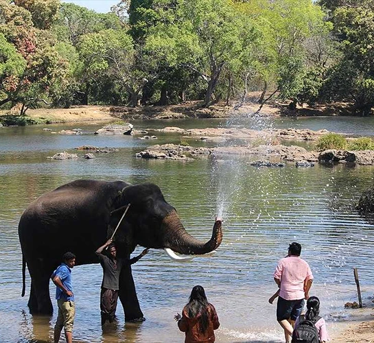 DUBARE ELEPHANT CAMP IN COORG