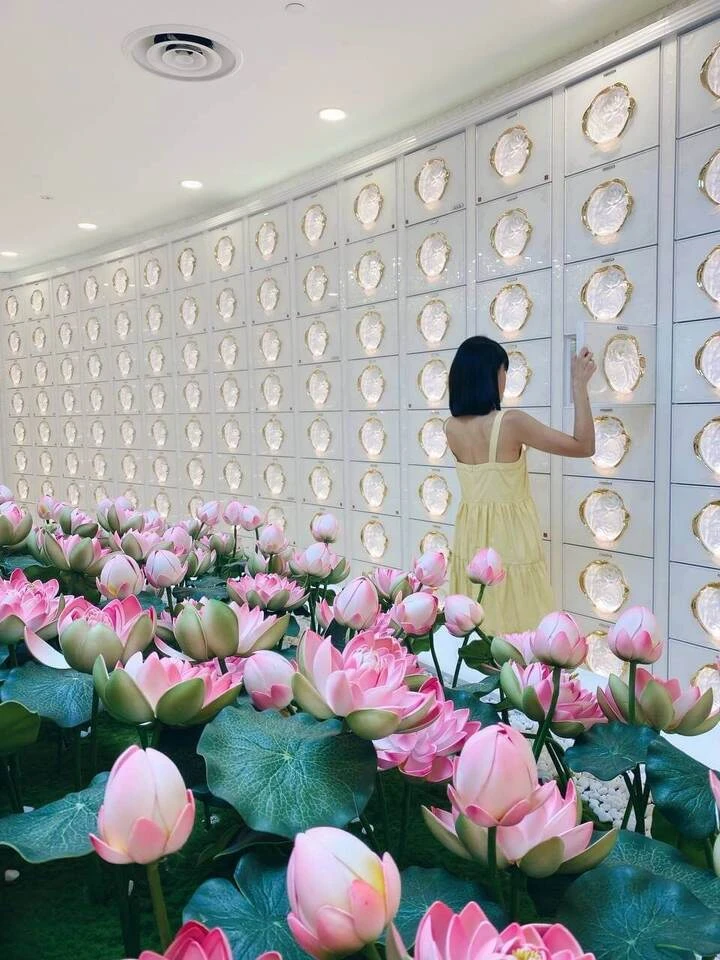 Nirvana Funeral Services