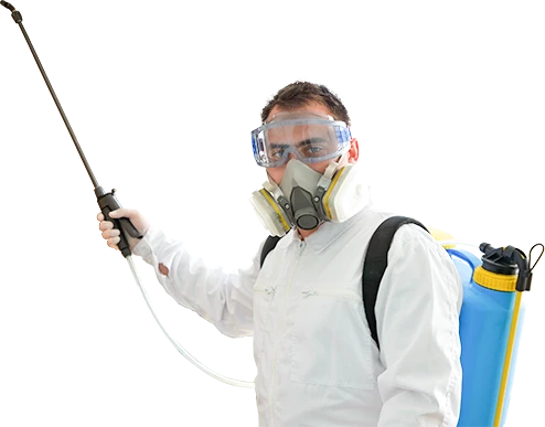 Mice And Rats Can Make Life Miserable For You, How?