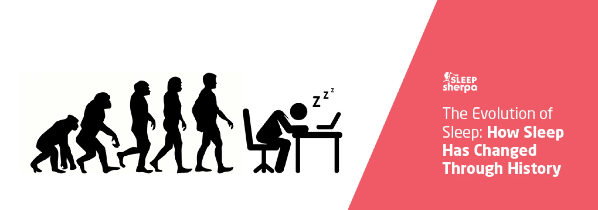 The Evolution of Sleep: How Sleep Has Changed Through History