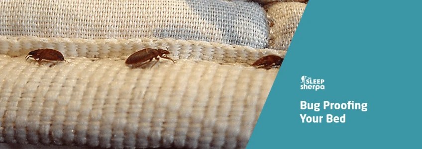 How to Get Rid of Bed Bugs