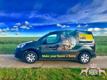 Whisking Wag Tails: The Ultimate Guide to Pet Courier Services