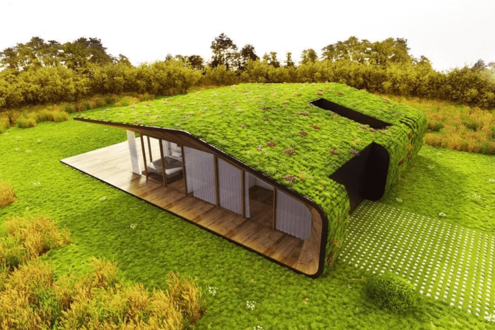 Sustainable Landscaping: Creating Eco-Friendly Outdoor Havens