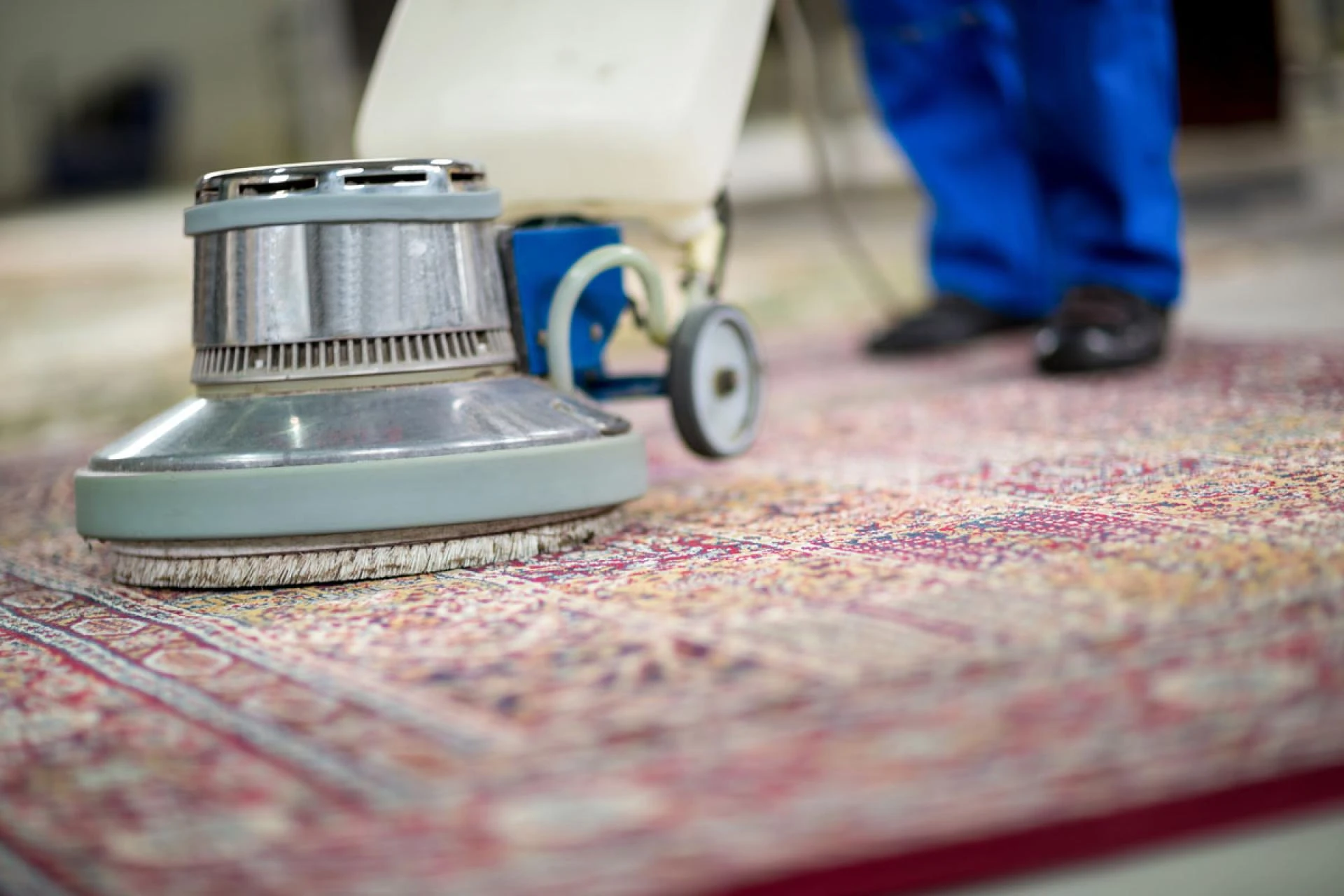 Unlock the Potential: Experience Professional Carpet Cleaning at Its Best
